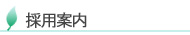 採用案内